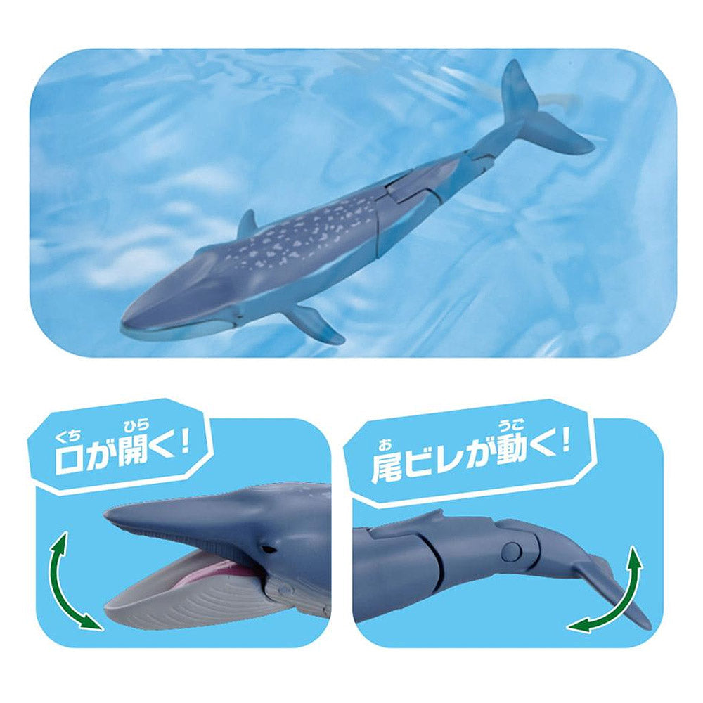 BLUE WHALE (FLOATING VER.) ANIA AL-23 | TAKARA TOMY BLUE WHALE (FLOATING VER.) ANIA AL-23 | TAKARA TOMY